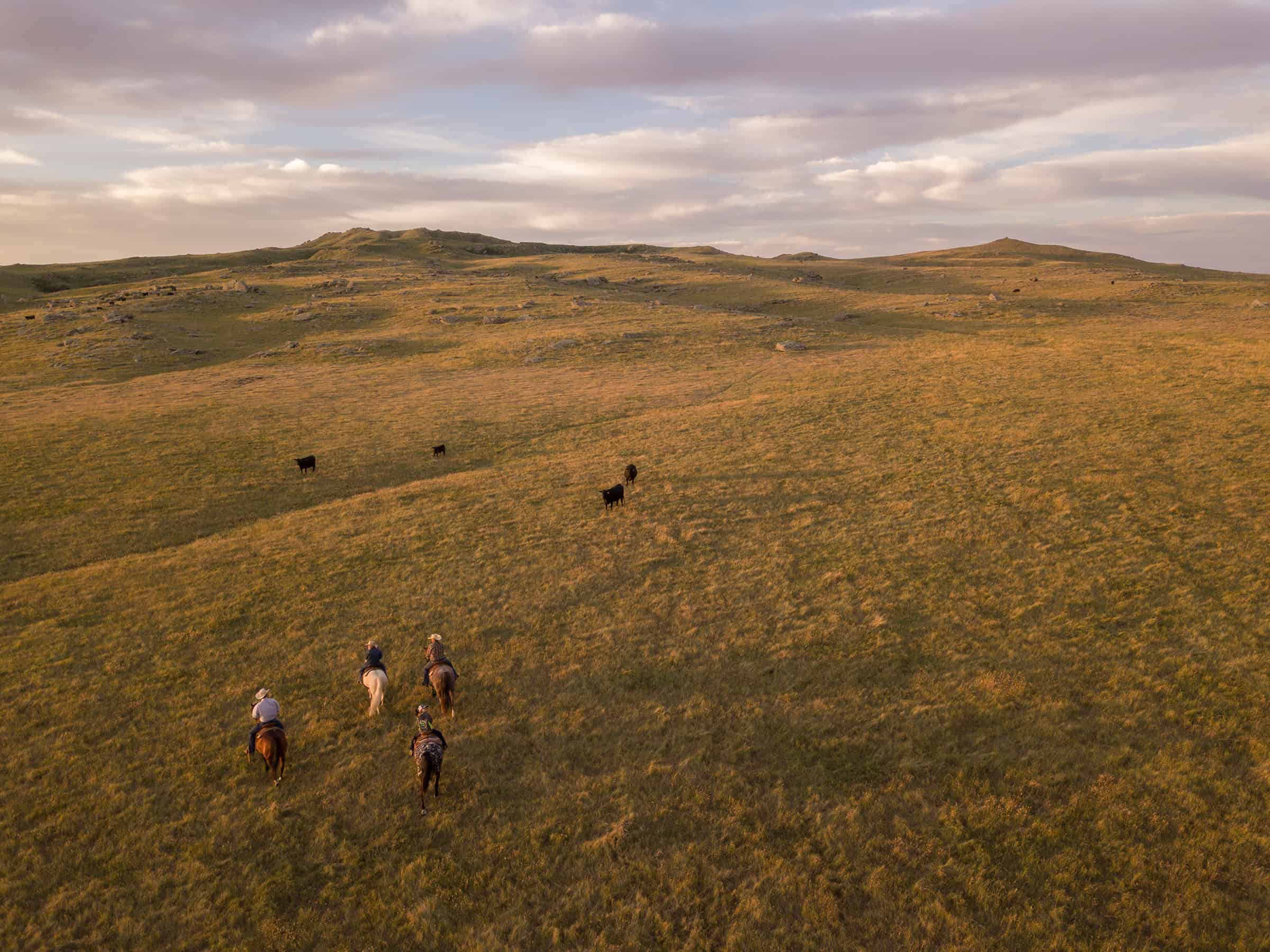Charlie Dickie for the SD Grassland Coalition and USDA NRCS BlairRanch.146