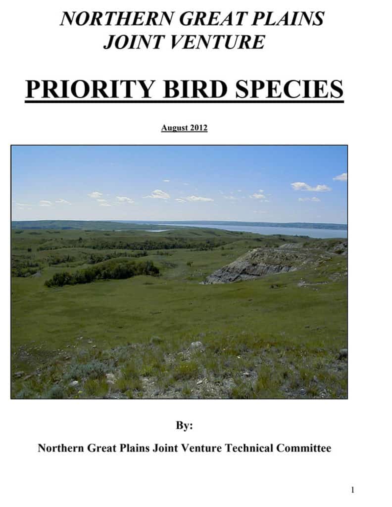 Priority Bird Species cover