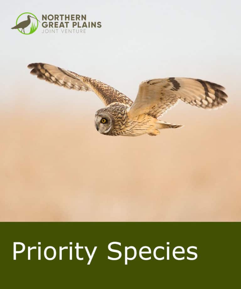 Priority Species cover