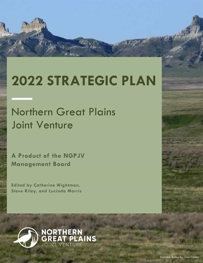 2022 Strategic Plan Tn