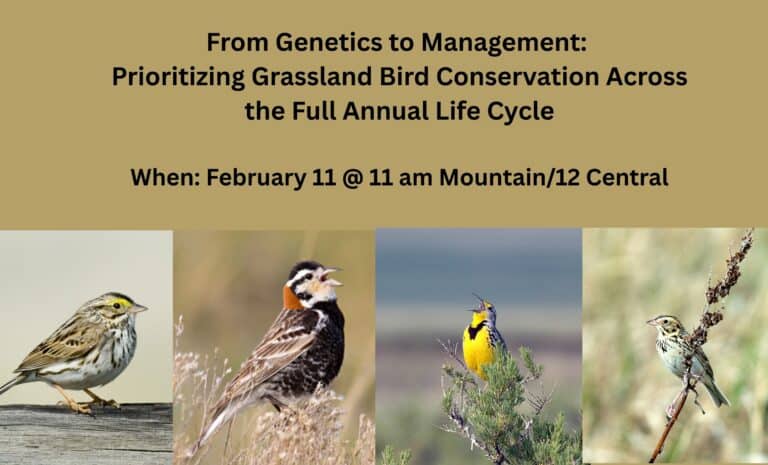 Managing invasive annual grasses in rangelands 2