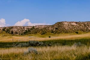 2023 CottonwoodDrawHMA ERoth