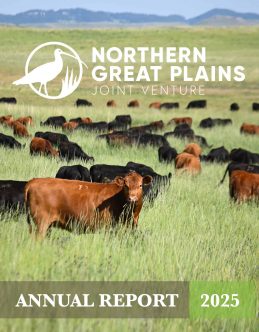 2025 Annual Report Cover